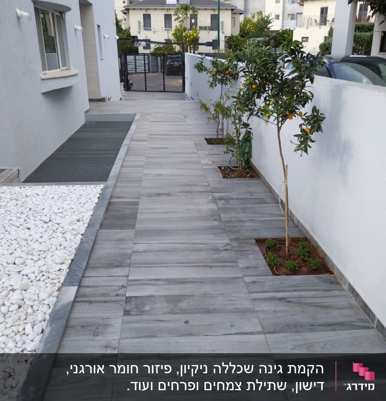 עצים קטנים עם פירות כתומים ליד שביל מרוצף